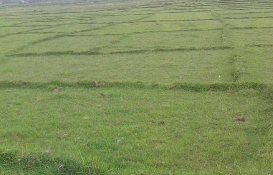 फाइल तस्वीर
